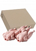 Broiler chicken carcass, 1st grade, eviscerated, chilled, wholesale