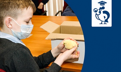  Poultry production “Severnaya” has opened its doors to schoolchildren of the city of Kirovsk